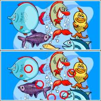 Game Fish Differences