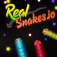 Game Real Snakes.io